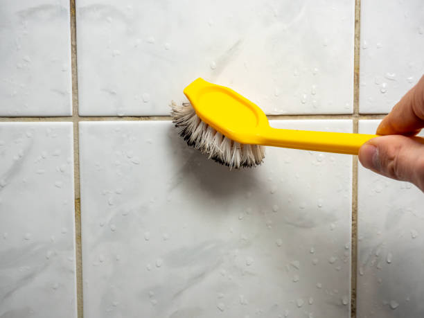 Best DIY Mold Remediation Support Services in Memphis, TN